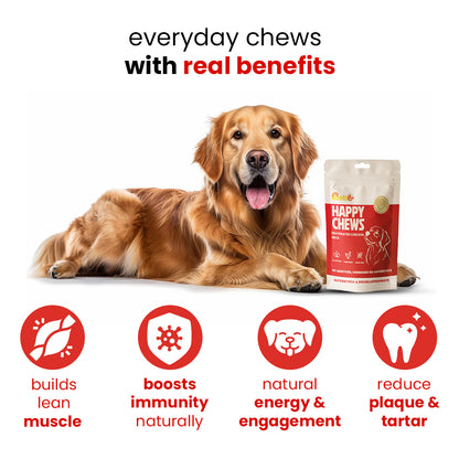 Nootie Happy Chews – Dehydrated Chicken Neck Dog Treats (80g) | All-Natural, High-Protein, Crunchy Snack