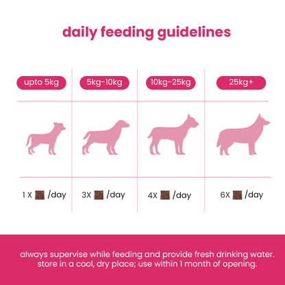 Nootie Happy Chews – Dehydrated Chicken Jerky Strawberry Dog Treats (50g) | All-Natural, Grain-Free Protein Snack