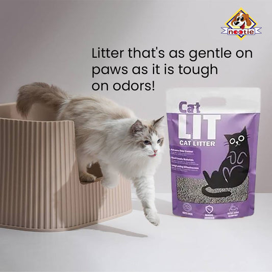 Nootie Premium Cat Litter (Non-Scented ) 5 kg
