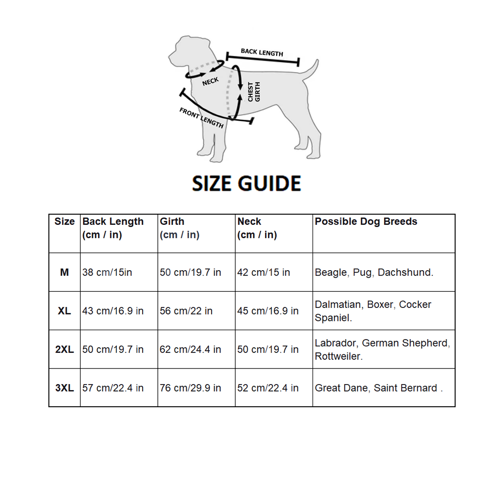 Nootie Reversible Dog Jacket | Blue & Pink | Warm, Lightweight Nylon and Windproof Jacket for Dogs