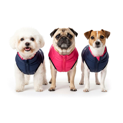 Nootie Reversible Dog Jacket | Blue & Pink | Warm, Lightweight Nylon and Windproof Jacket for Dogs