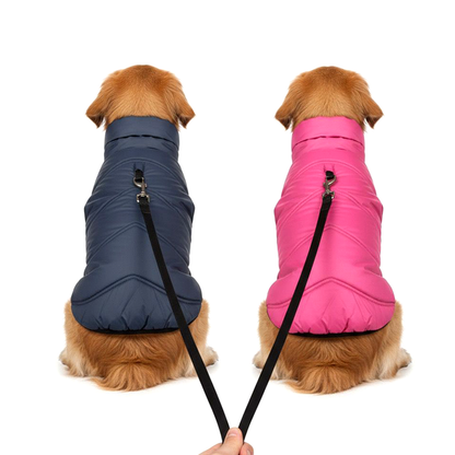 Nootie Reversible Dog Jacket | Blue & Pink | Warm, Lightweight Nylon and Windproof Jacket for Dogs