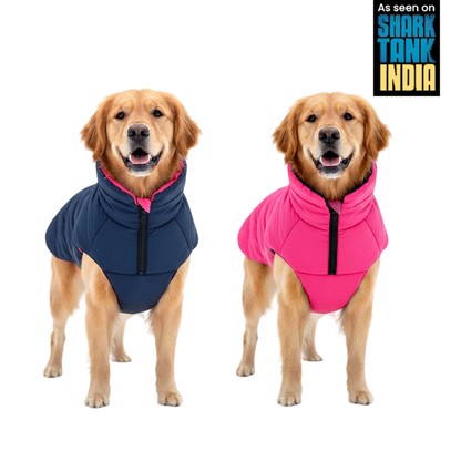 Nootie Reversible Dog Jacket | Blue & Pink | Warm, Lightweight Nylon and Windproof Jacket for Dogs