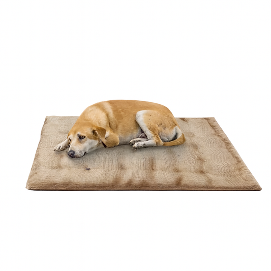 Nootie Jute Beds for Dogs & Cats – Small Rectangle Bed (65 x 52 x 5 CM) | Eco-Friendly Brown Pet Bed