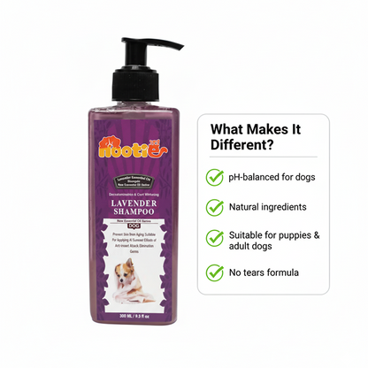 Nootie Coat Whitening Lavender Oil Shampoo for Dogs (300 ml) | Brightening, Anti-Itch & Soothing Essential Oil Formula