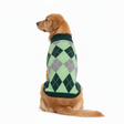Nootie Dog Sweater, Light Green Check – Stylish Winter Knitwear for All Breeds
