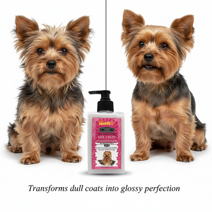 Nootie Mix Fruit Conditioner for Dogs (300 ml) | Silky Coat Grooming with Essential Oils & Natural Fruit Extracts