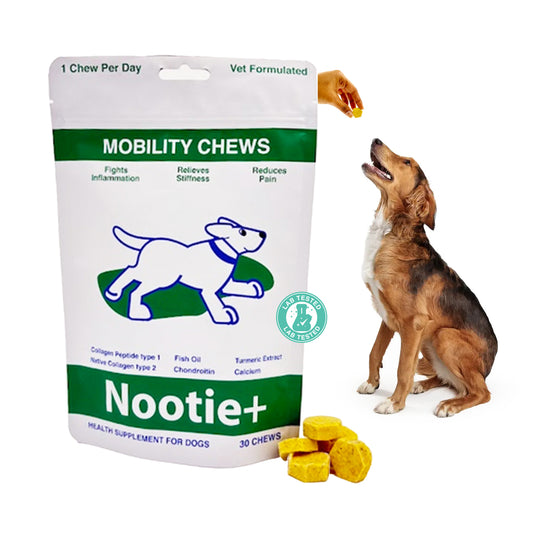 Nootie+ Mobility Chews for Dogs | Joint Support, Pain Relief & Anti-Inflammation (30 Chews)