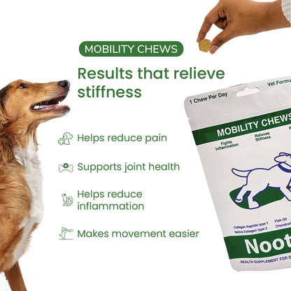 Nootie+ Mobility Chews for Dogs | Joint Support, Pain Relief & Anti-Inflammation (30 Chews)