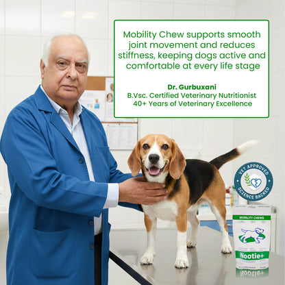 Nootie+ Mobility Chews for Dogs | Joint Support, Pain Relief & Anti-Inflammation (30 Chews)