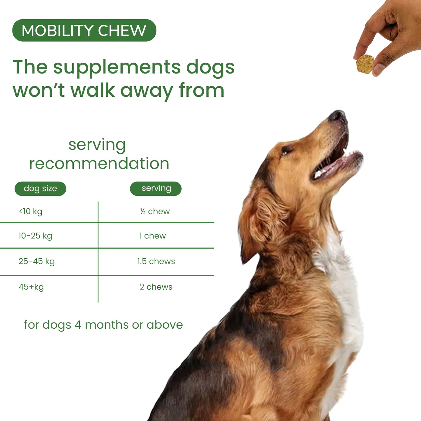 Nootie+ Mobility Chews for Dogs | Joint Support, Pain Relief & Anti-Inflammation (30 Chews)