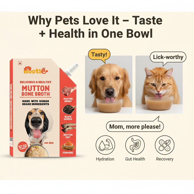 Nootie Natural Mutton Broth for Dogs & Cats – Nutrient-Rich, Hydrating Meal Topper (100ml)