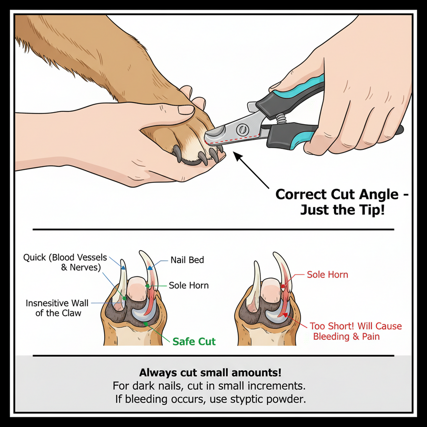 Furrtoolz Premium Nail Cutter | Safe Guard, Sharp Blades & Anti-Slip Grip