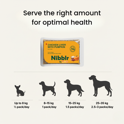 Nibblr Chicken Liver and Pumpkin Dog Food – 300g | Human-Grade, Freshly Cooked, Balanced Nutrition