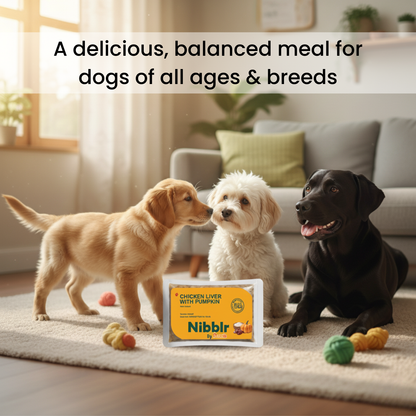 Nibblr Chicken Liver and Pumpkin Dog Food – 300g | Human-Grade, Freshly Cooked, Balanced Nutrition
