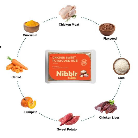 Nibblr Chicken Sweet Potato & Rice Dog Food – 300g | Human-Grade, Freshly Cooked, Balanced Nutrition
