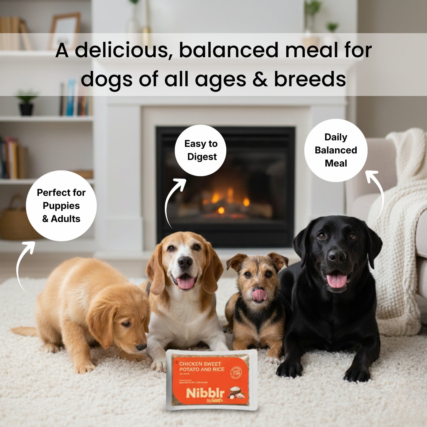 Nibblr Chicken Sweet Potato & Rice Dog Food  – 300g | Human-Grade, Freshly Cooked, Balanced Nutrition