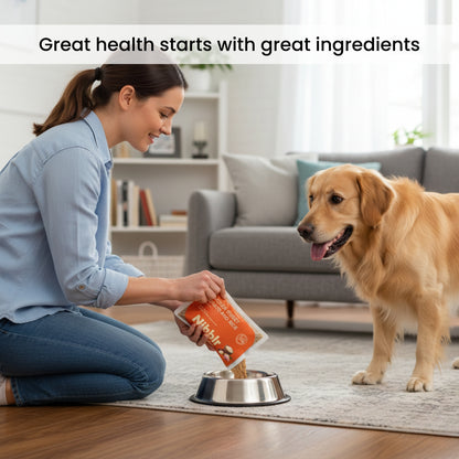 Nibblr Chicken Sweet Potato & Rice Dog Food  – 300g | Human-Grade, Freshly Cooked, Balanced Nutrition