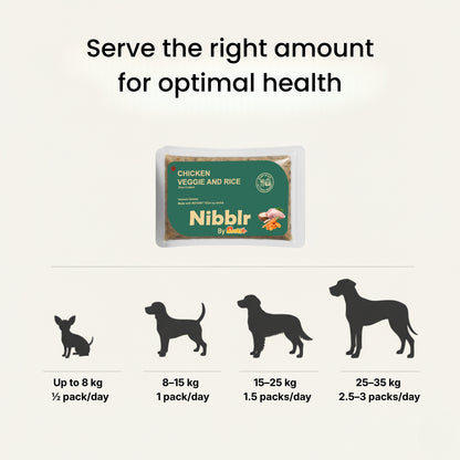Nibblr Chicken Veggie & Rice Dog Food  – 300g | Human-Grade, Freshly Cooked, Balanced Nutrition