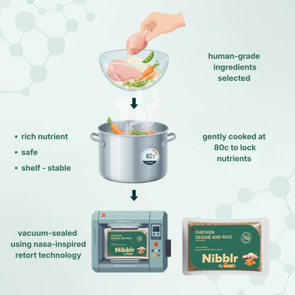 Nibblr Chicken Veggie & Rice Dog Food  – 300g | Human-Grade, Freshly Cooked, Balanced Nutrition