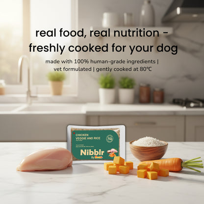 Nibblr Chicken Veggie & Rice Dog Food  – 300g | Human-Grade, Freshly Cooked, Balanced Nutrition