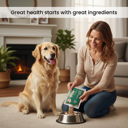 Nibblr Chicken Veggie & Rice Dog Food  – 300g | Human-Grade, Freshly Cooked, Balanced Nutrition