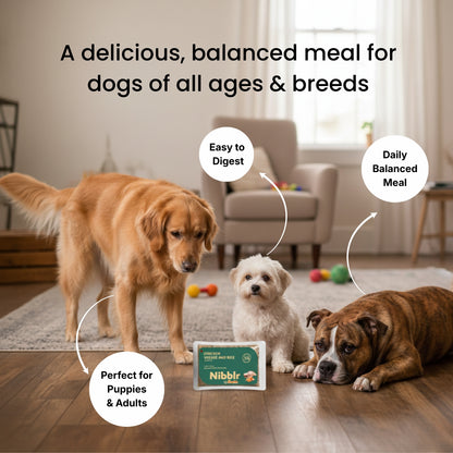 Nibblr Chicken Veggie & Rice Dog Food  – 300g | Human-Grade, Freshly Cooked, Balanced Nutrition