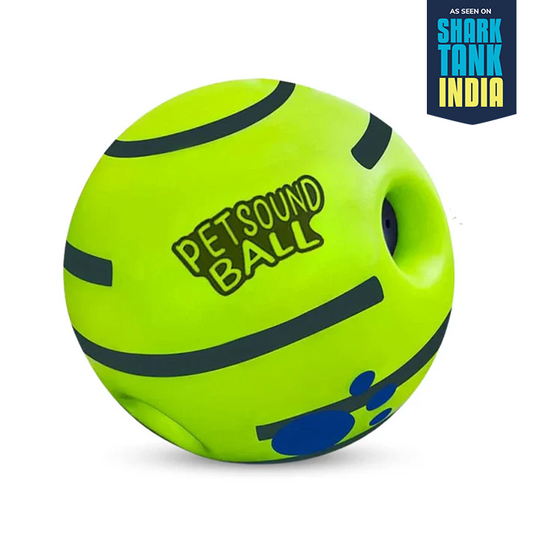 Nootie 5.5-Inch Interactive Giggle Ball Dog Toy | Squeaky Chew Ball for Medium & Large Dogs