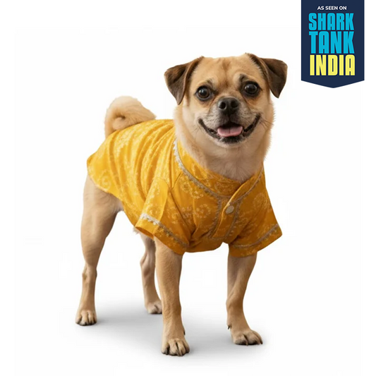Nootie Bandhani Print Kurta – Yellow | Traditional Ethnic Outfit for Dogs