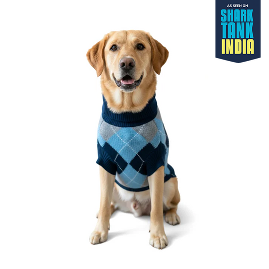 Nootie Dog High Neck Sweater, Blue Check – Stylish Winter Knitwear for All Breeds