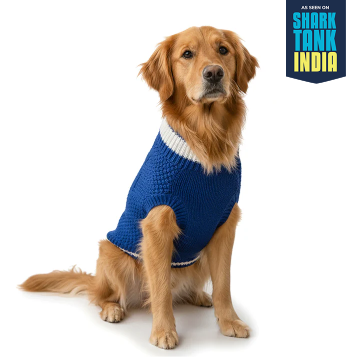 Nootie Dog High Neck Sweater, Blue – Stylish Winter Knitwear for All Breeds