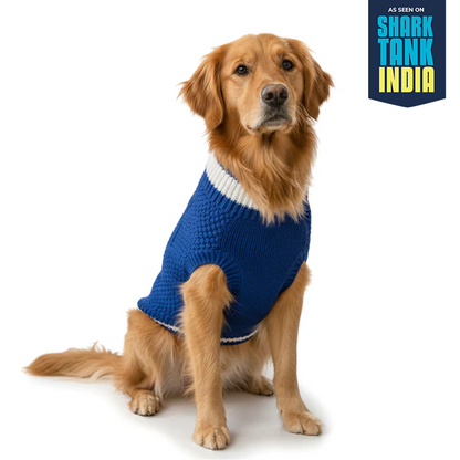 Nootie Dog High Neck Sweater, Blue – Stylish Winter Knitwear for All Breeds
