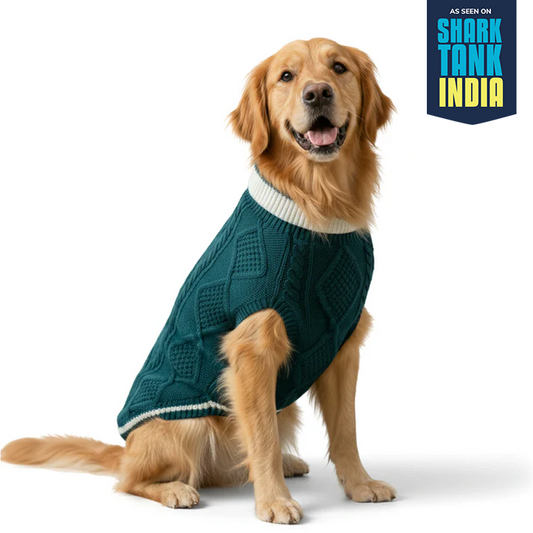 Nootie Dog High Neck Sweater, Dark Green – Stylish Winter Knitwear for All Breeds