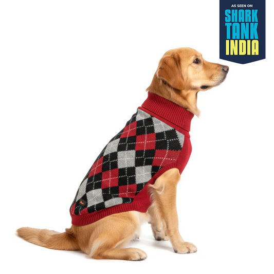 Nootie Dog Sweater, Red Check – Stylish Winter Knitwear for All Breeds