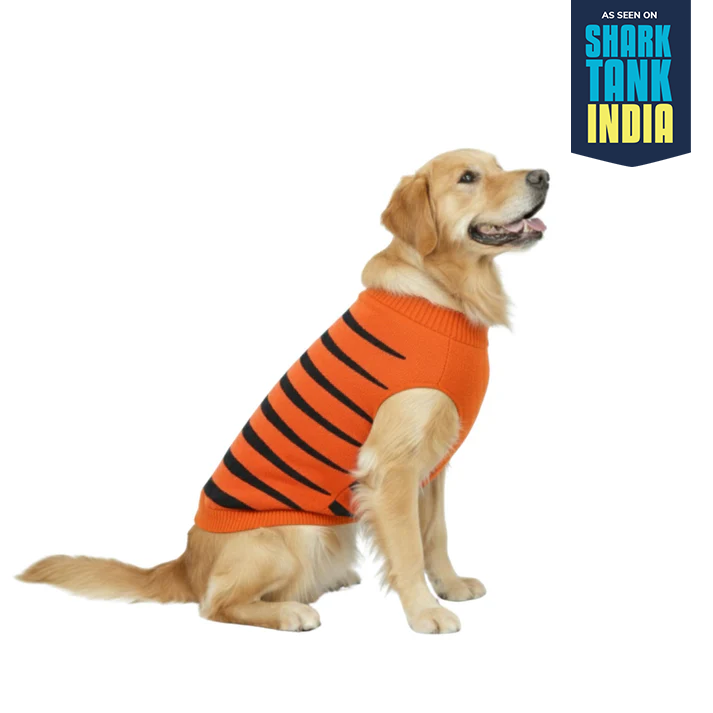 Nootie Dog Sweater Tiger Print, Orange – Stylish Winter Knitwear for All Breeds