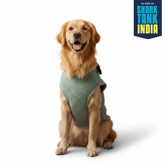 Nootie Dog Sweatshirt with Bow | Double-Layer, Warm, Soft Fleece Fur | Green