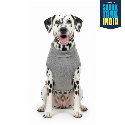 Nootie Dog Sweatshirt with Bow | Double-Layer Warm Soft Fleece Fur | Grey