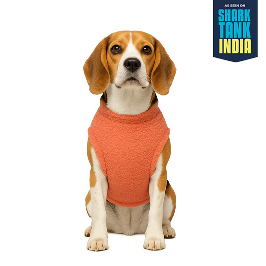 Nootie Dog Sweatshirt with Bow | Double-Layer, Warm, Soft Fleece Fur | Orange