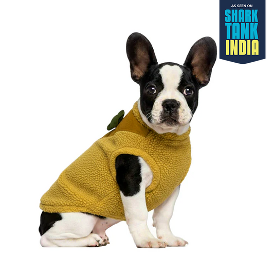 Nootie Dog Sweatshirt with Bow | Double-Layer, Warm, Soft Fleece Fur | Yellow