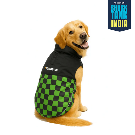 Nootie Dog Winter Jacket – High Neck, Warm & Waterproof Coat for Dogs | Green-Black