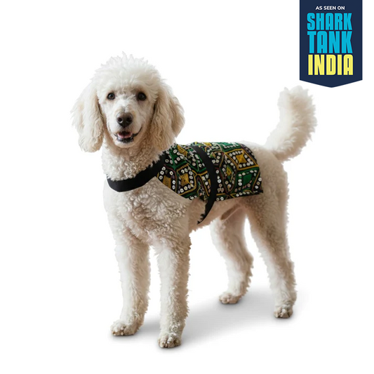 Nootie Festive Dress for Female Dogs – Black | Stylish Outfit for Weddings & Festivals