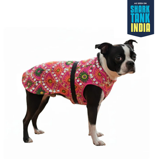 Nootie Festive Dress for Female Dogs – Pink | Stylish Outfit for Weddings & Festivals