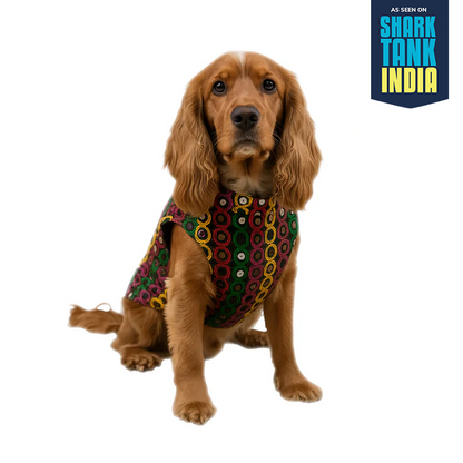 Nootie Festive Sherwani for Dogs – Black | Stylish Outfit for Weddings & Festivals