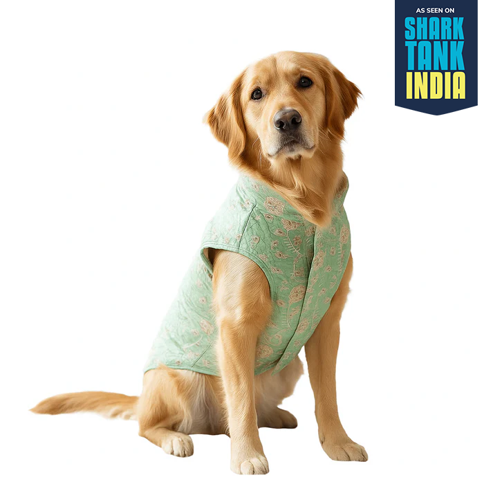 Nootie Festive Sherwani for Dogs – Light Green | Stylish Outfit for Weddings & Festivals