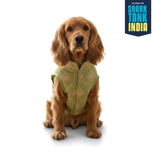 Nootie Festive Sherwani for Dogs – Parrot Green | Traditional Indian Ethnic Wear for Pets