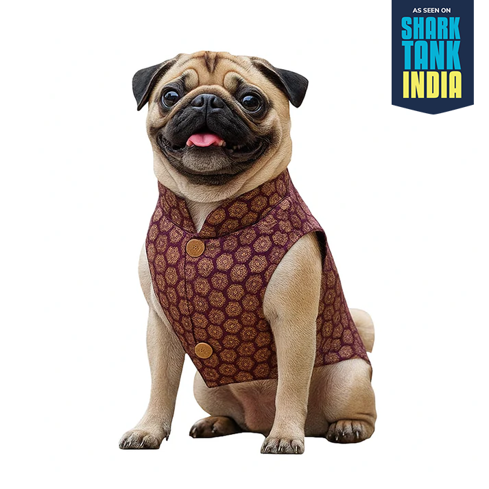 Nootie Festive Sherwani for Dogs –Purple | Stylish Outfit for Weddings & Festivals