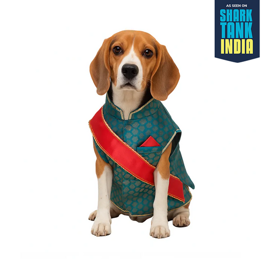 Nootie Festive Sherwani with Chunni for Pets – Blue | Stylish Outfit for Weddings & Festivals
