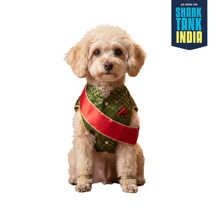 Nootie Festive Sherwani with Chunni for Pets – Green | Stylish Outfit for Weddings & Festivals