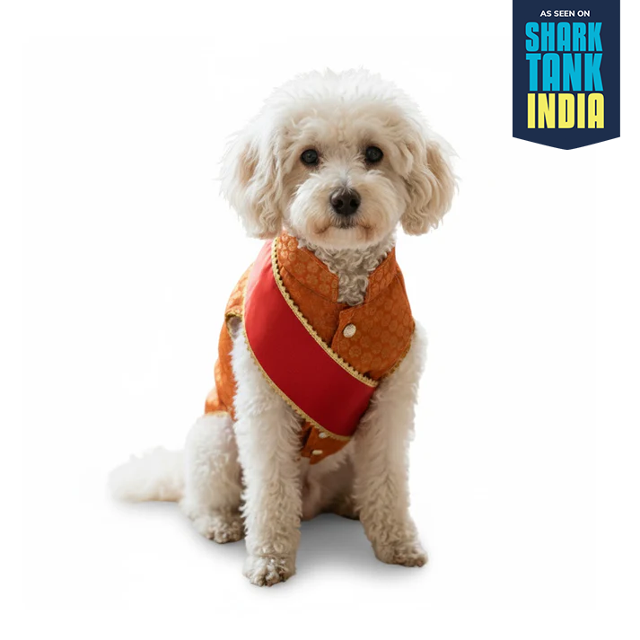 Nootie Festive Sherwani with Chunni for Pets – Orange | Stylish Outfit for Weddings & Festivals