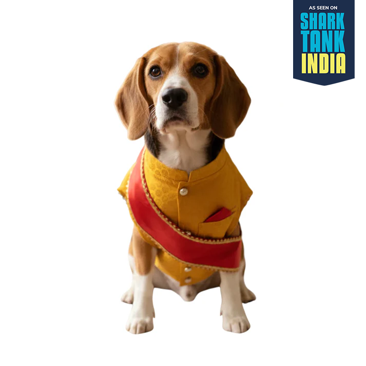 Nootie Festive Sherwani with Chunni for Pets – Yellow | Stylish Outfit for Weddings & Festivals